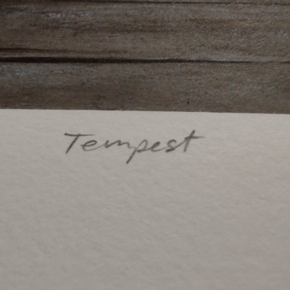 "Tempest" by Ed Gordon - Picture 3 of 3